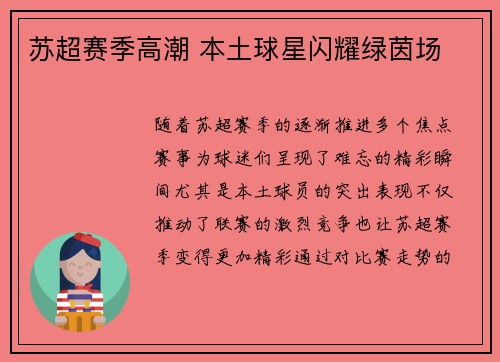 苏超赛季高潮 本土球星闪耀绿茵场